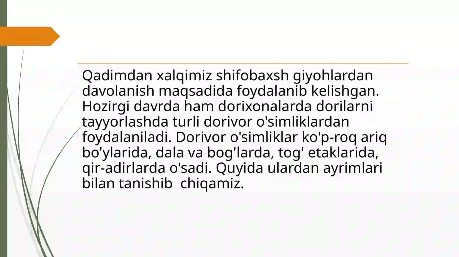 Yalpiz 2