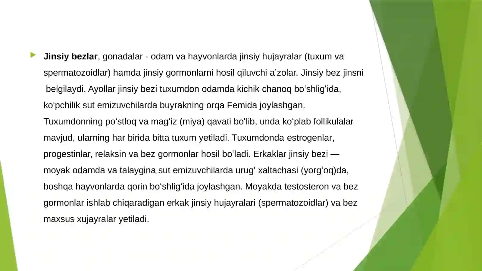 Jinsiybezfiziologiyasi 2
