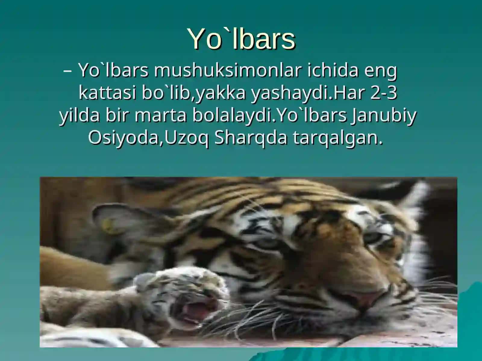 Baquvvat changalli oyoqlari 2