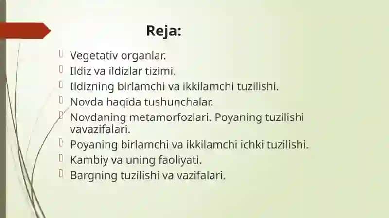 Vegetativ organlar 2