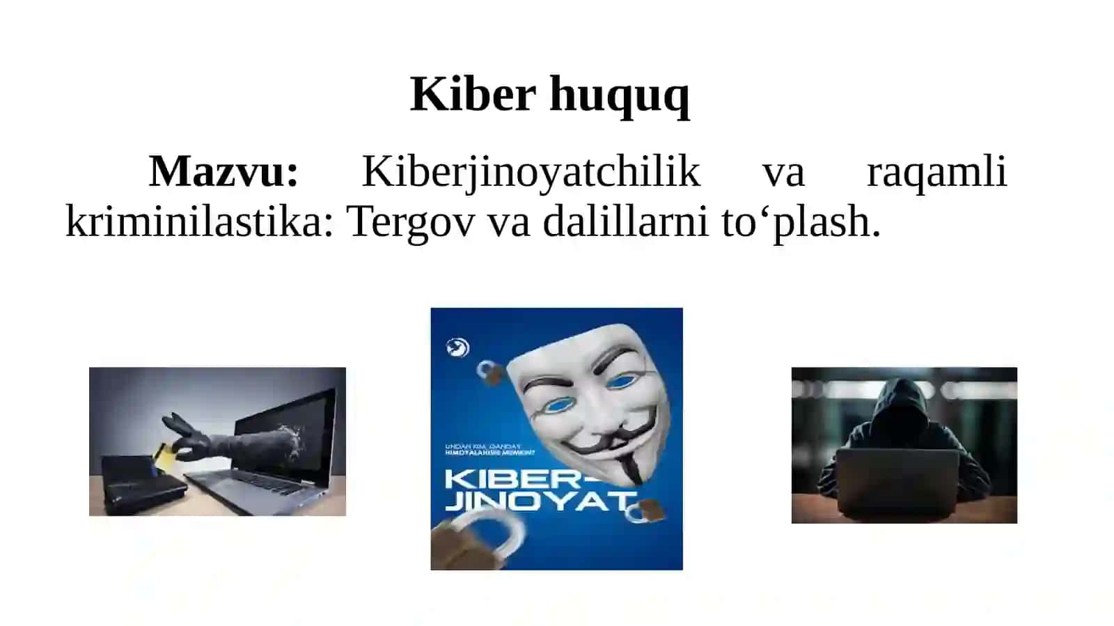 Kiberjinoyatchilik 2