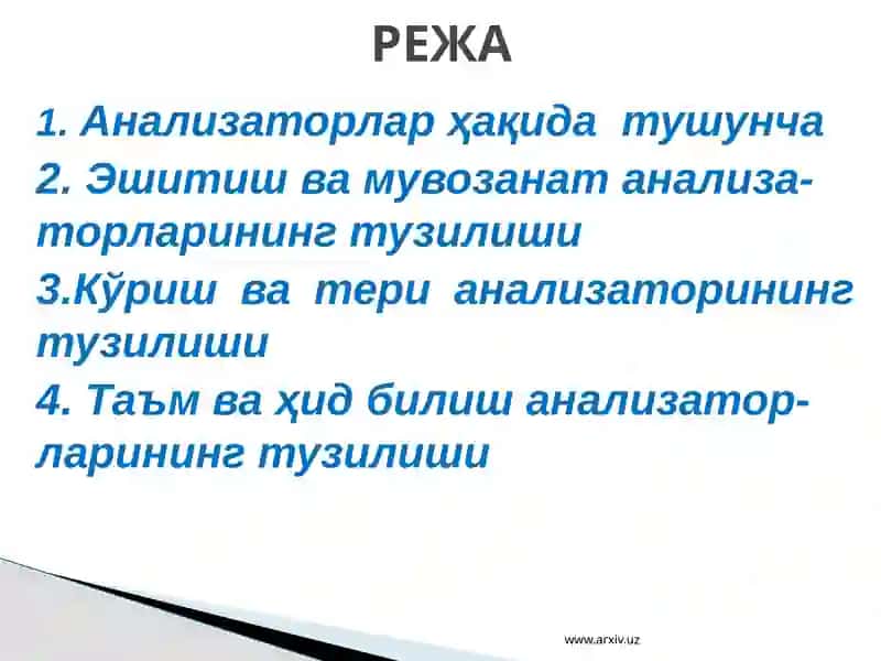 Анализаторларнинг тузилиши ва аҳамияти 2