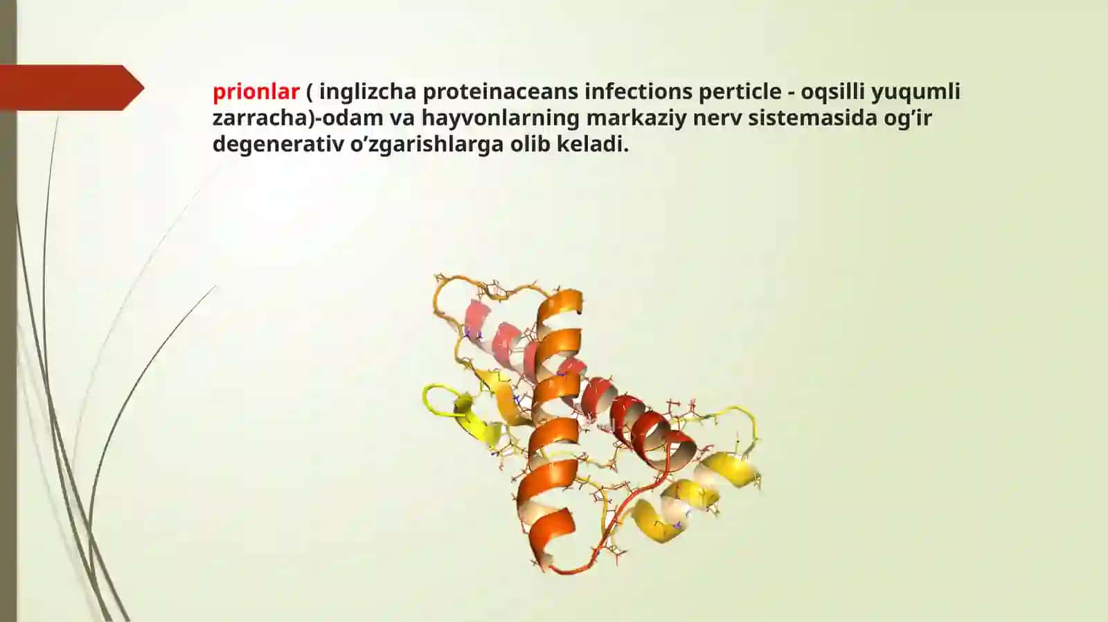 PRIONLARNI AMALIYOTDAGI AHAMIYATI 2