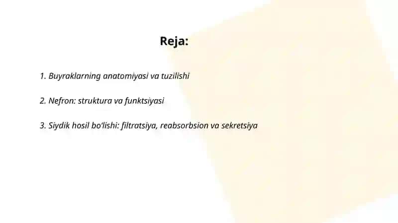 Siydik ayirish sistemasi 2