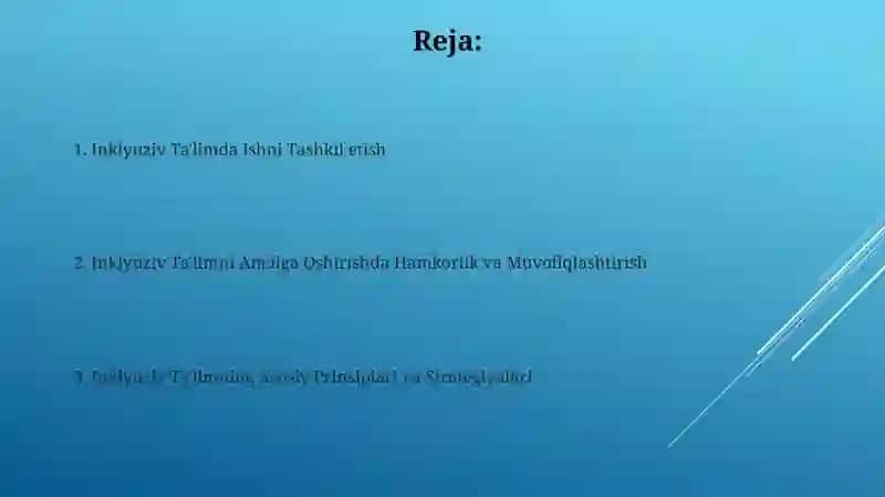 Inklyuziv taʼlim boʻyicha ishni tashkillashtirish 2