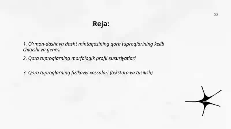 О‘rmon-dasht va dasht mintaqasining qora tuproqlari 2