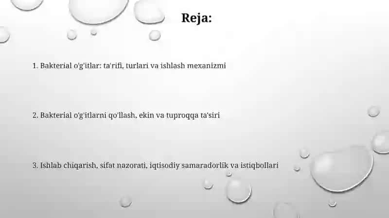 Bakterial o'g'itlar va ularning qo'llanilishi 2