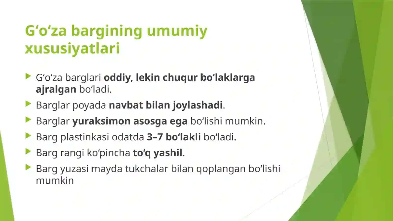 GʻOʻZABARGINING MORFOLOGIK TUZILISHI 2