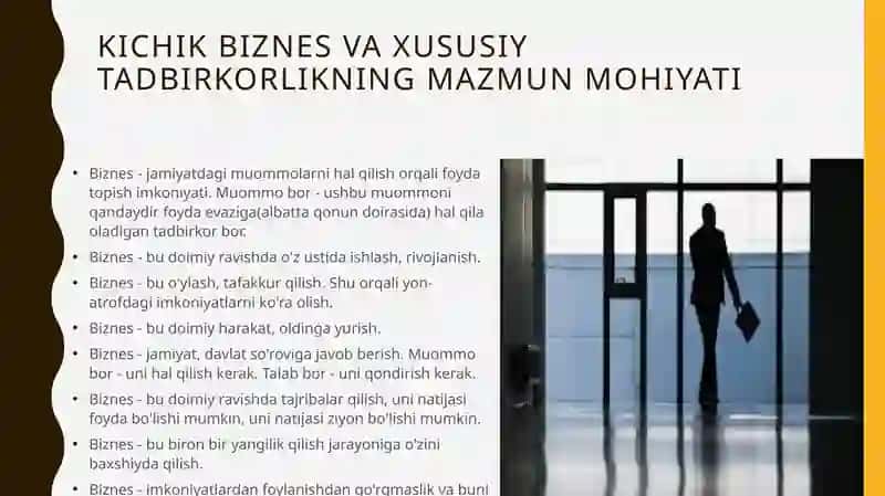 Kichik biznes va xususiy tadbirkorlik 2