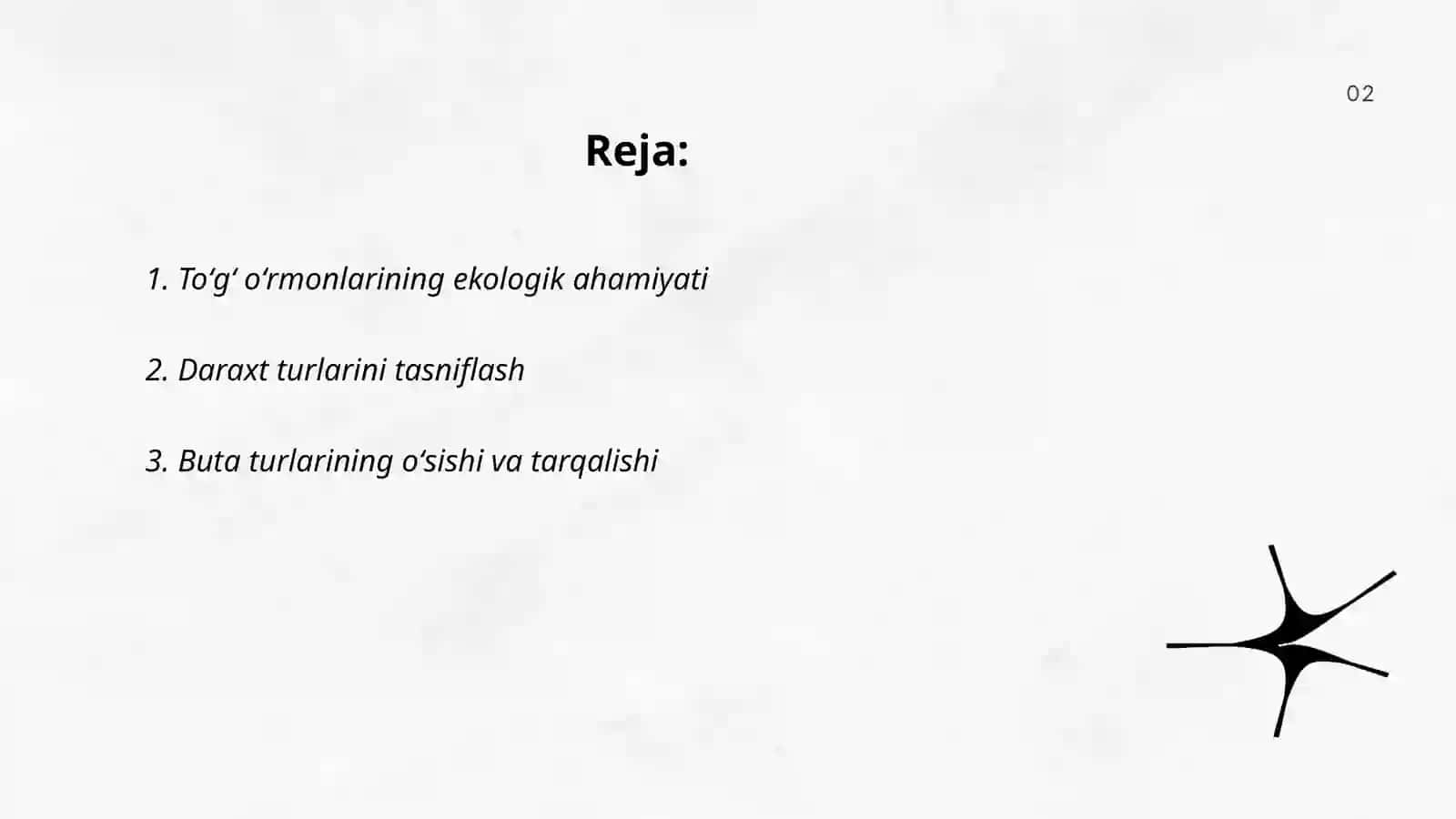 Toʻgʻ oʻrmonlari va daraxt buta turlari 2