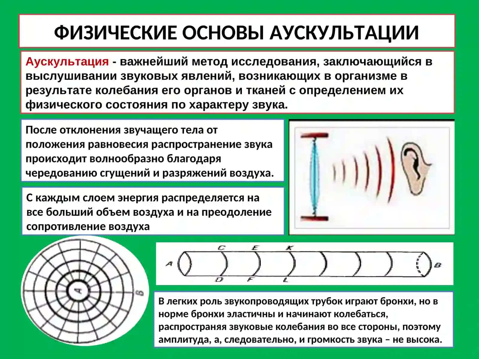 АУСКУЛЬТАЦИЯ ЛЕГКИХ, МЕТОДЫ ДОПОЛНИТЕЛЬНОГО ОБСЛЕДОВАНИЯ 2