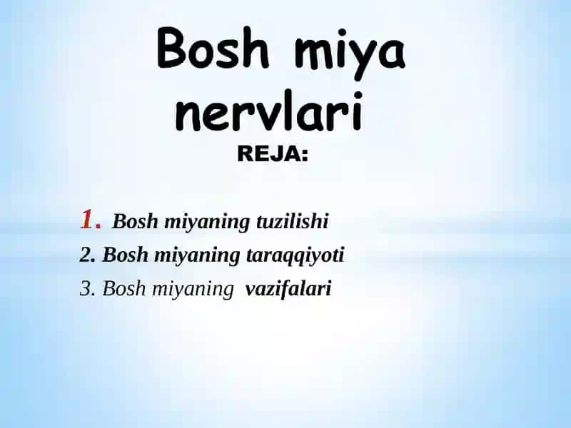 Orqa miya anatomiyasi 2