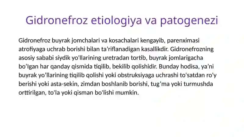 Gidronefroz 2