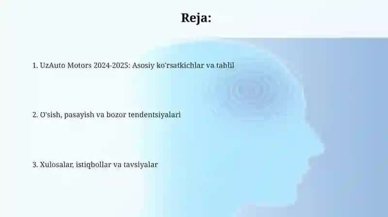 UzAuto Motors 2024-2025 2