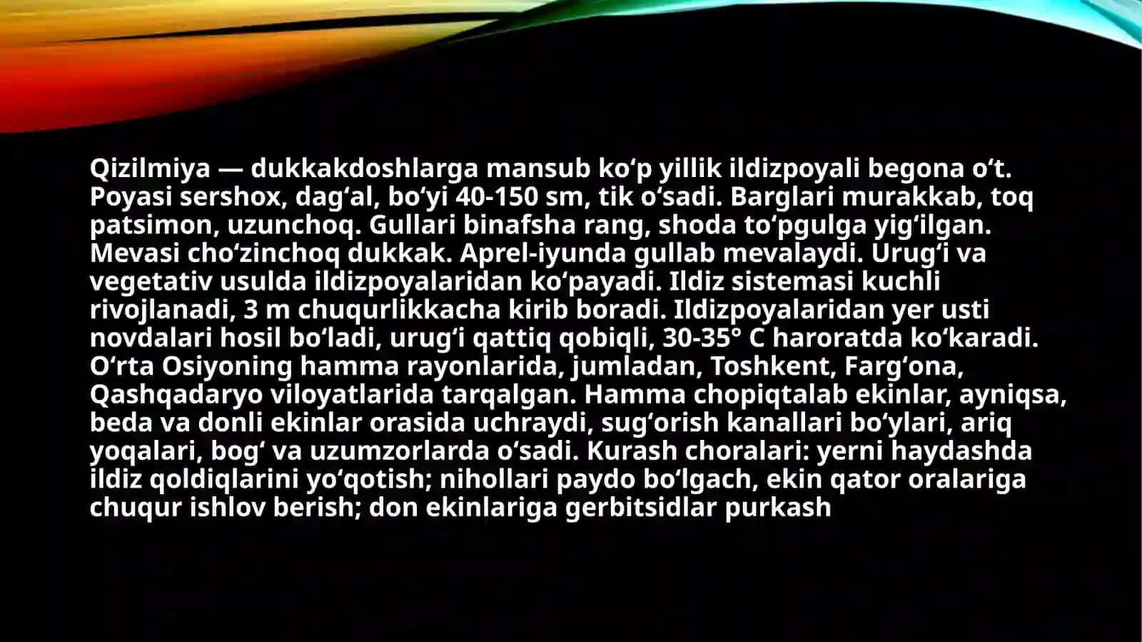 Qizilmiya 2