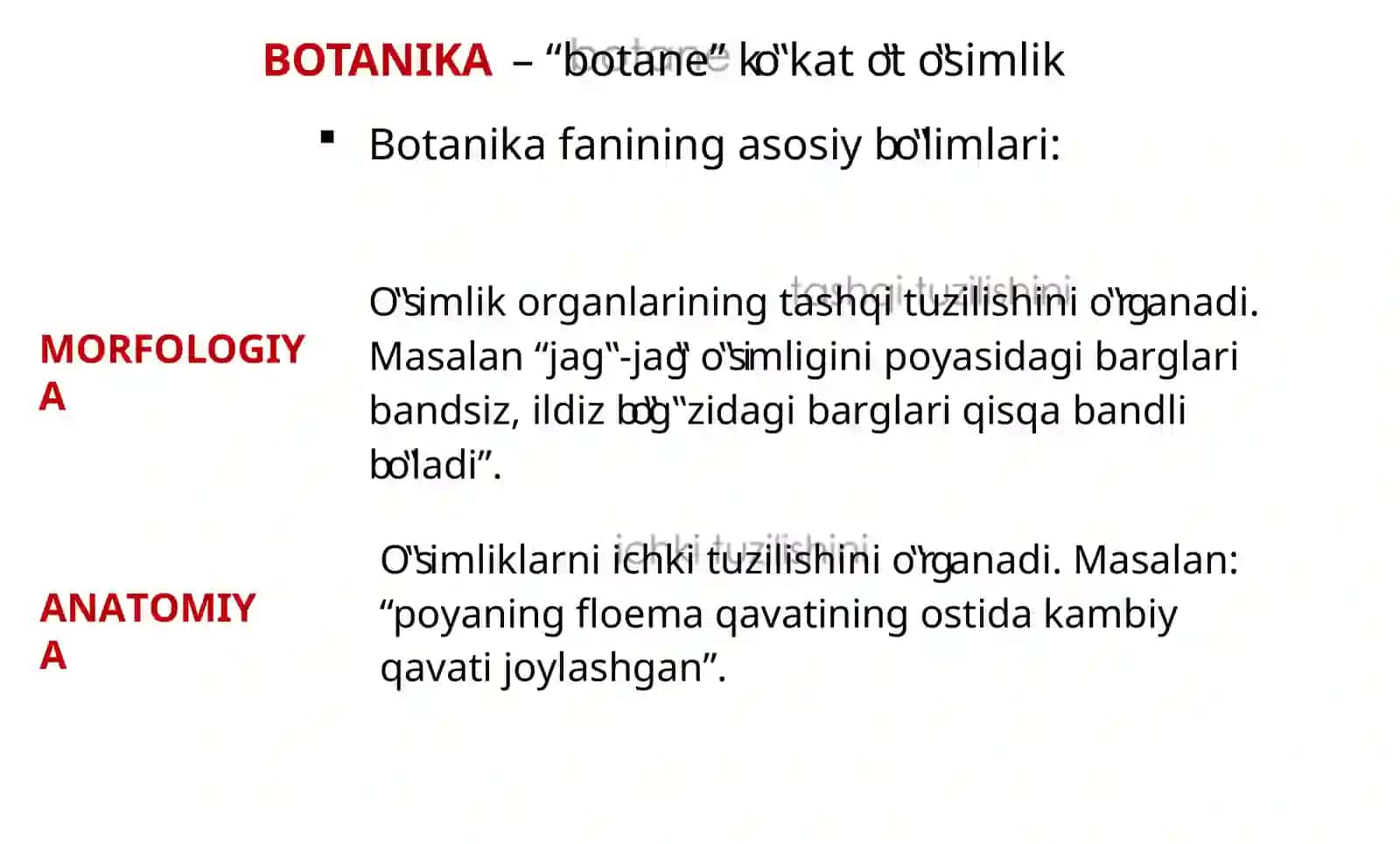 Botanika 1-dars 2