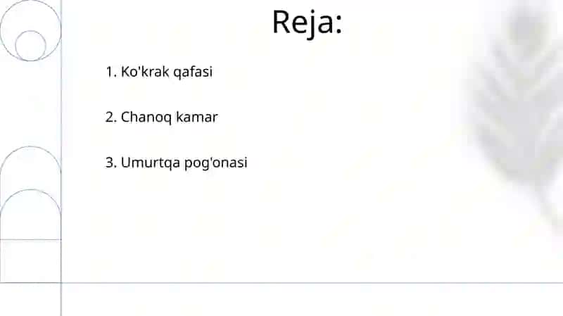 Umurtqa pog'onasi 2