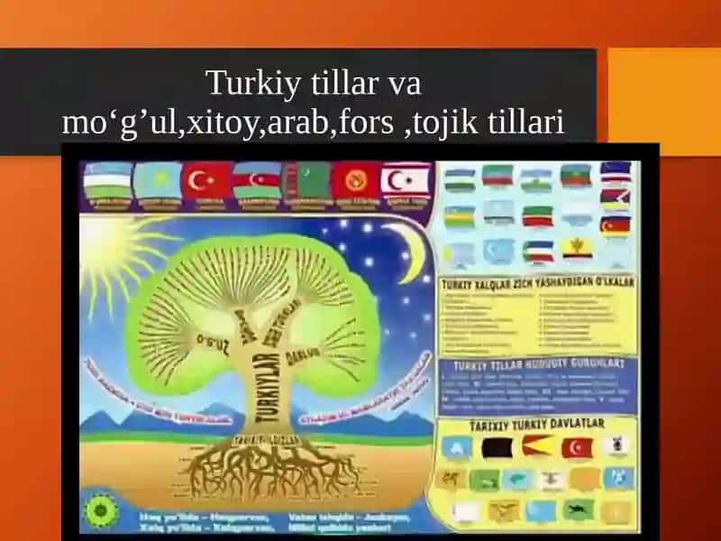 Turkiy tillar va mo‘g’ul,xitoy,arab,fors ,tojik tillari 2