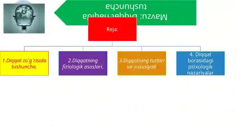 Diqqat haqida tushuncha 2