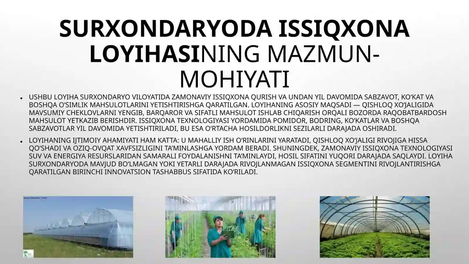 (100 millionlik loyiha ishi)  Surxondaryo viloyatida issiqxona loyihasi 2
