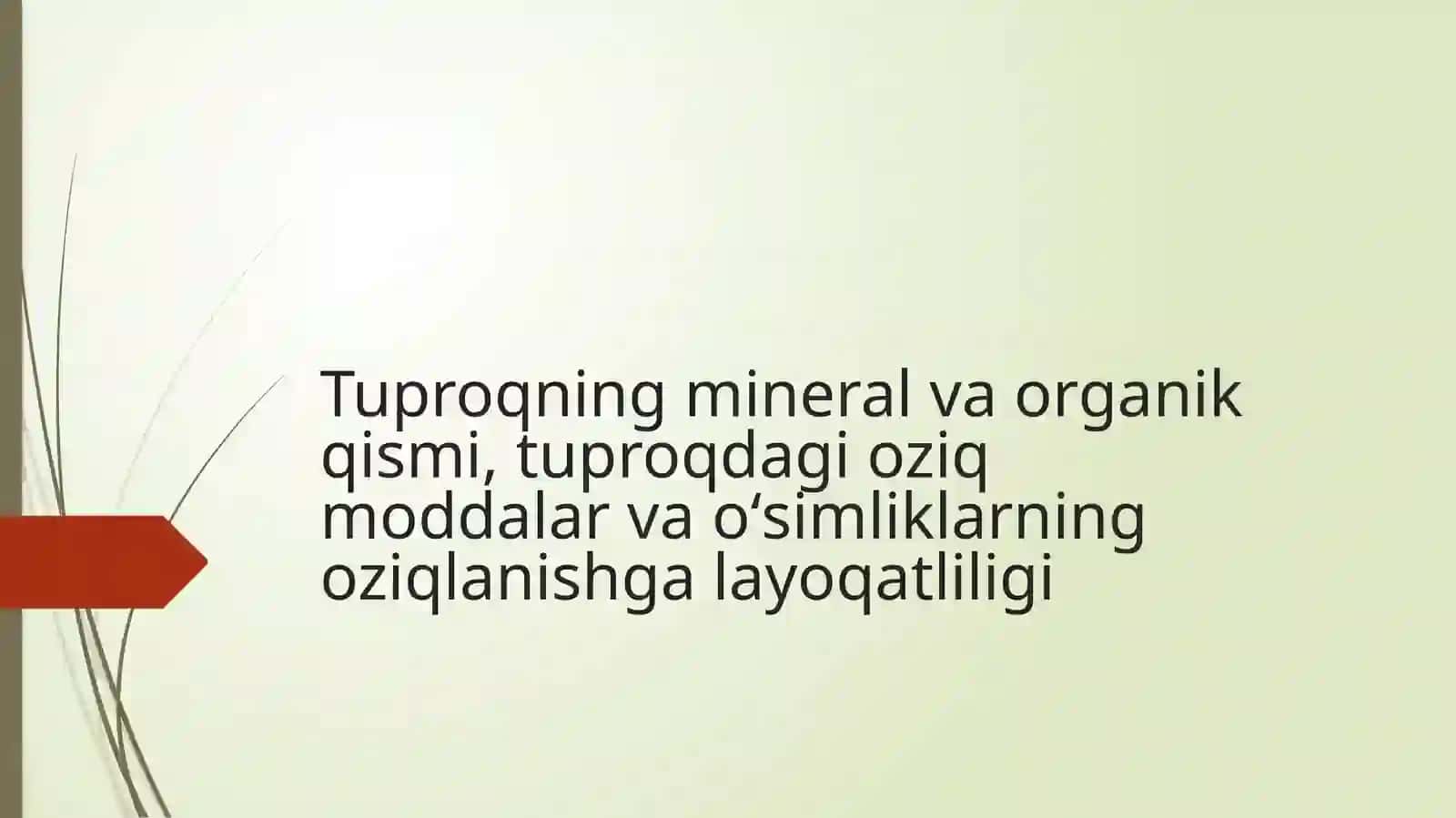 TERMIZ 2021 2