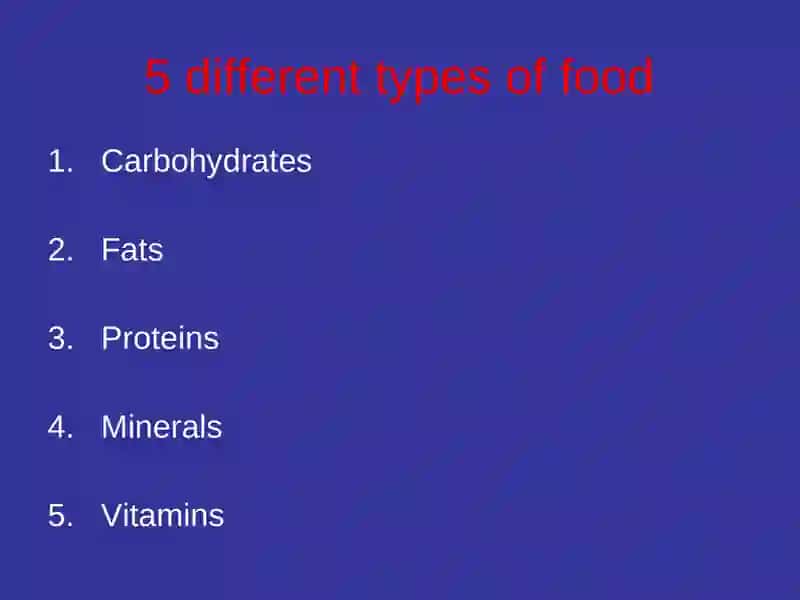 Food and the Diet 2
