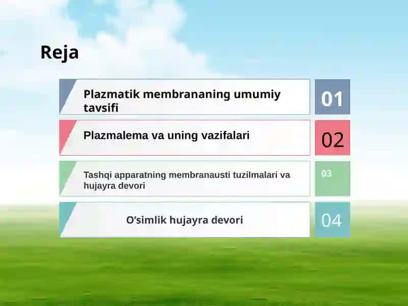 Plazmatik membrana 2