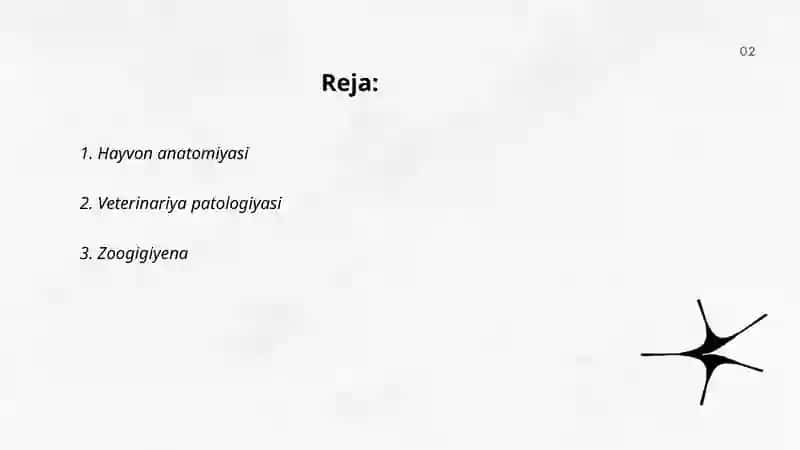 Veterinariyaga oid atama va tushinshalar 2