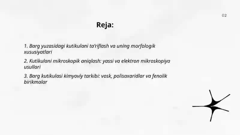 Barglar kutikulasi 2