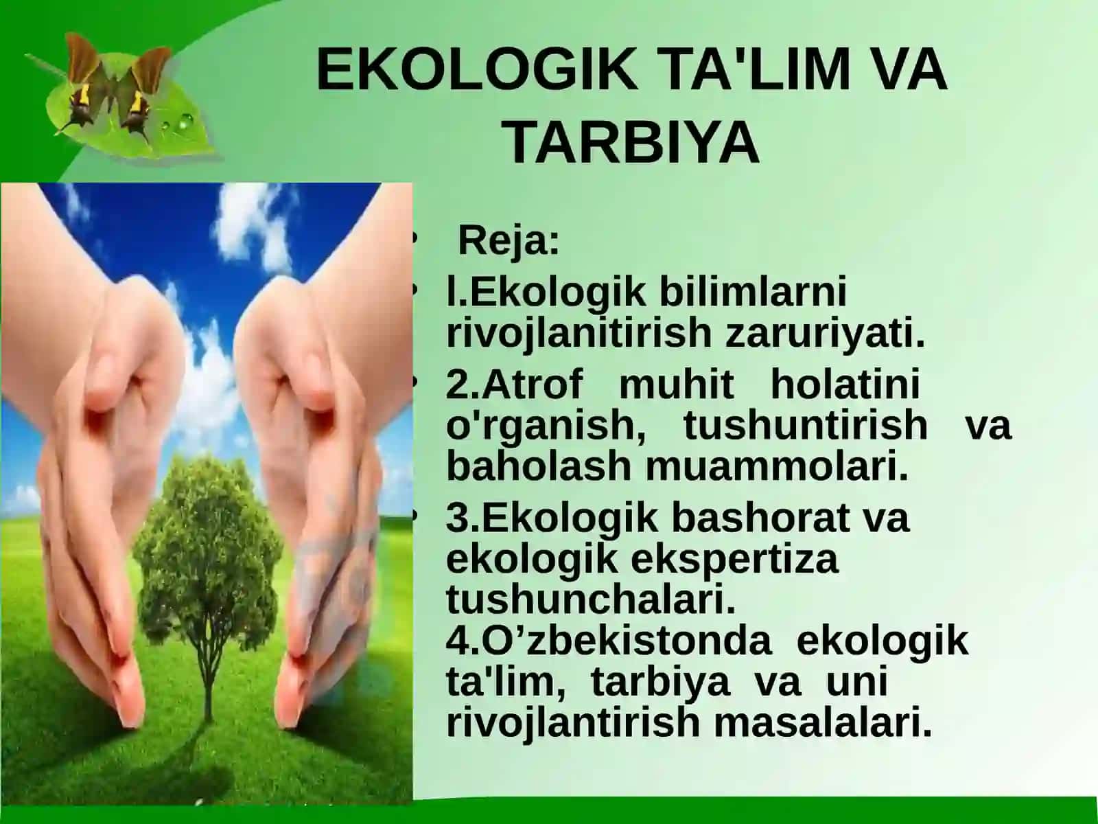 Ekologik ta'lim va tarbiya 2
