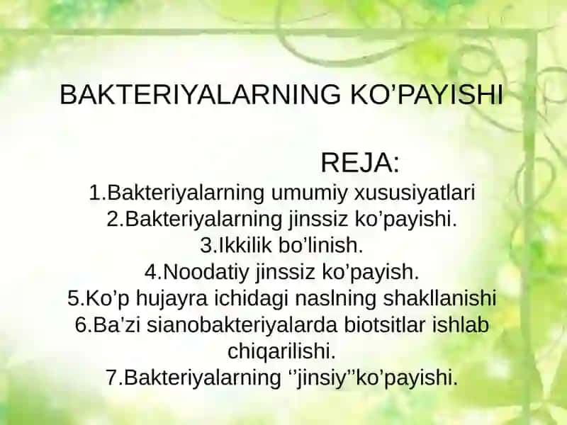 Bakteriyalarning Ko'payishi 2