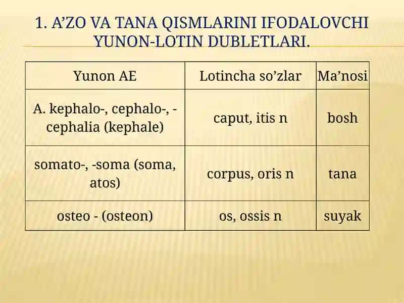 KLINIK TERMINLAR YASOVCHI ATAMA ELEMENTLAR 2