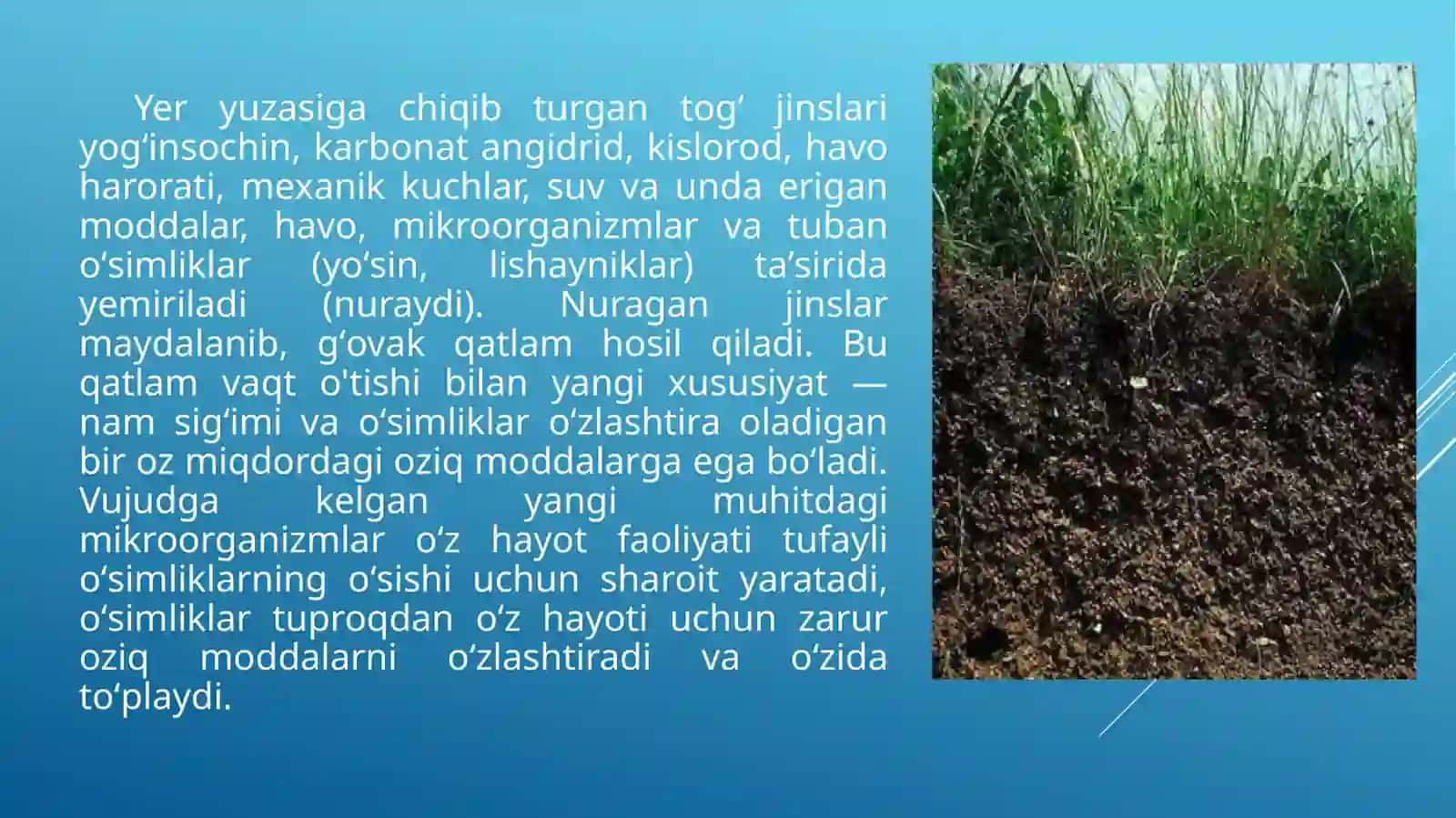 Tuproq xosil qiluvchi omillar 2
