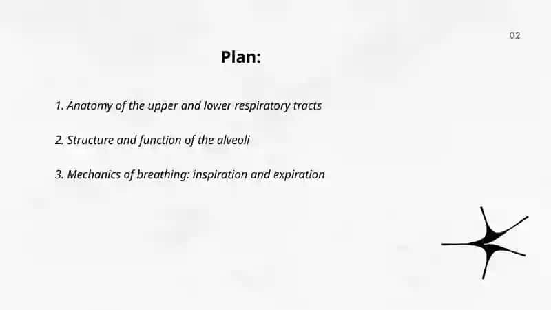 Body systems.Respiratory system 2