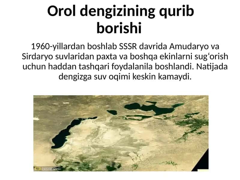 Orolfojiasi 2