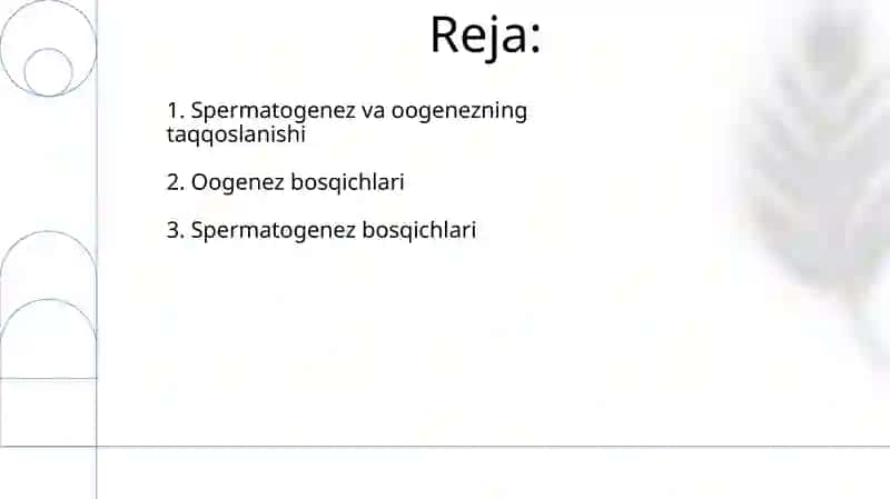 Spermatogenez va ovogenez etaplari 2