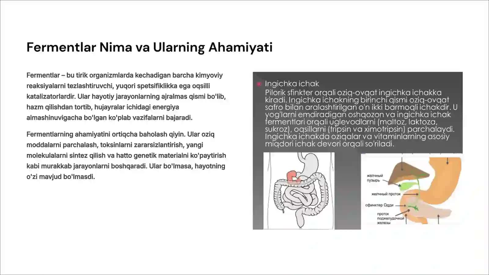 Ferment va Ularning Turlari Sinfllanishi 2