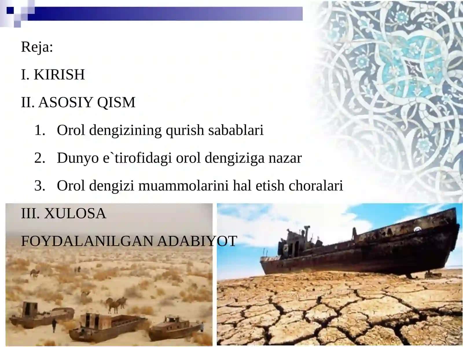 OROL BO‘YI HUDUDIDAGI EKOLOGIK MUAMMOLAR 2