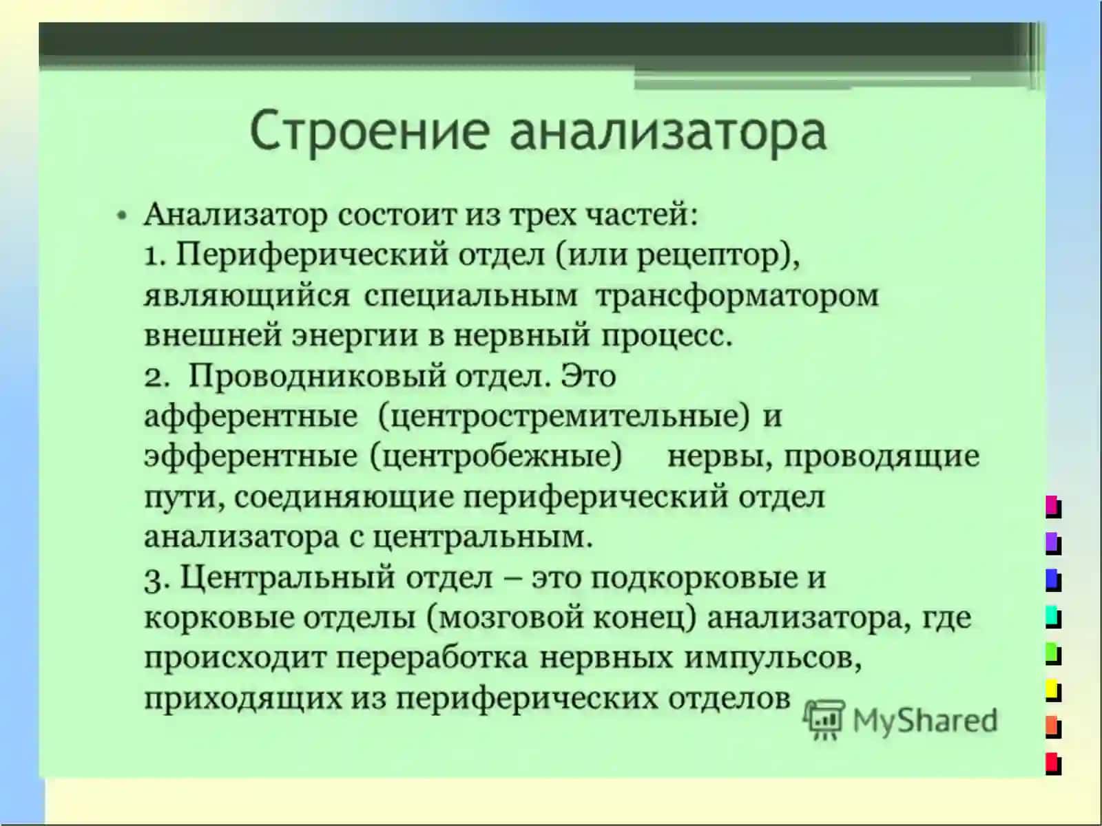 Органы зрения и слуха 2