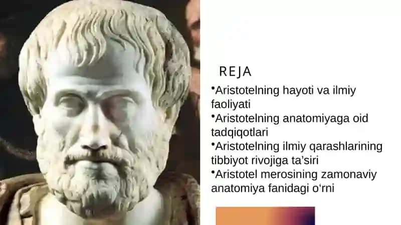 Aristotelning anatomiya faniga qo’shgan hissasi 2