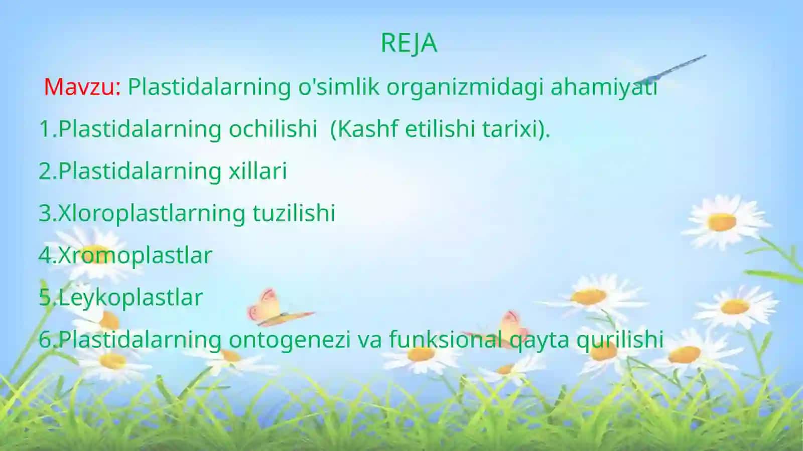 Plastidalarning o’simlik organizmidagi ahamiyati 2