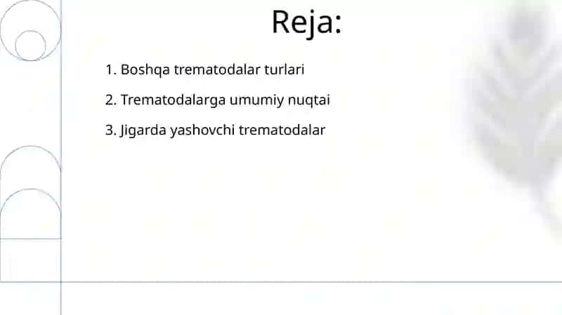 O'pka trematodasi 2
