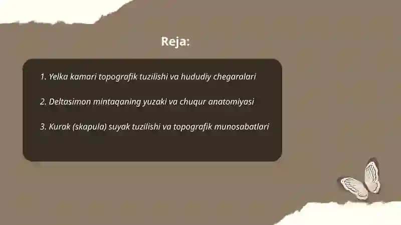 Qo‘lning topografik anatomiyasi 2