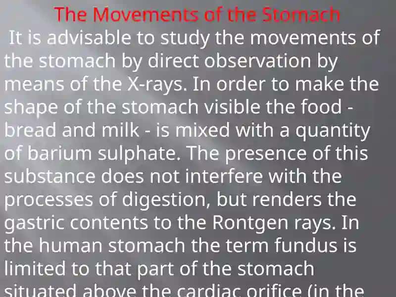 The Movements of the Stomach 2