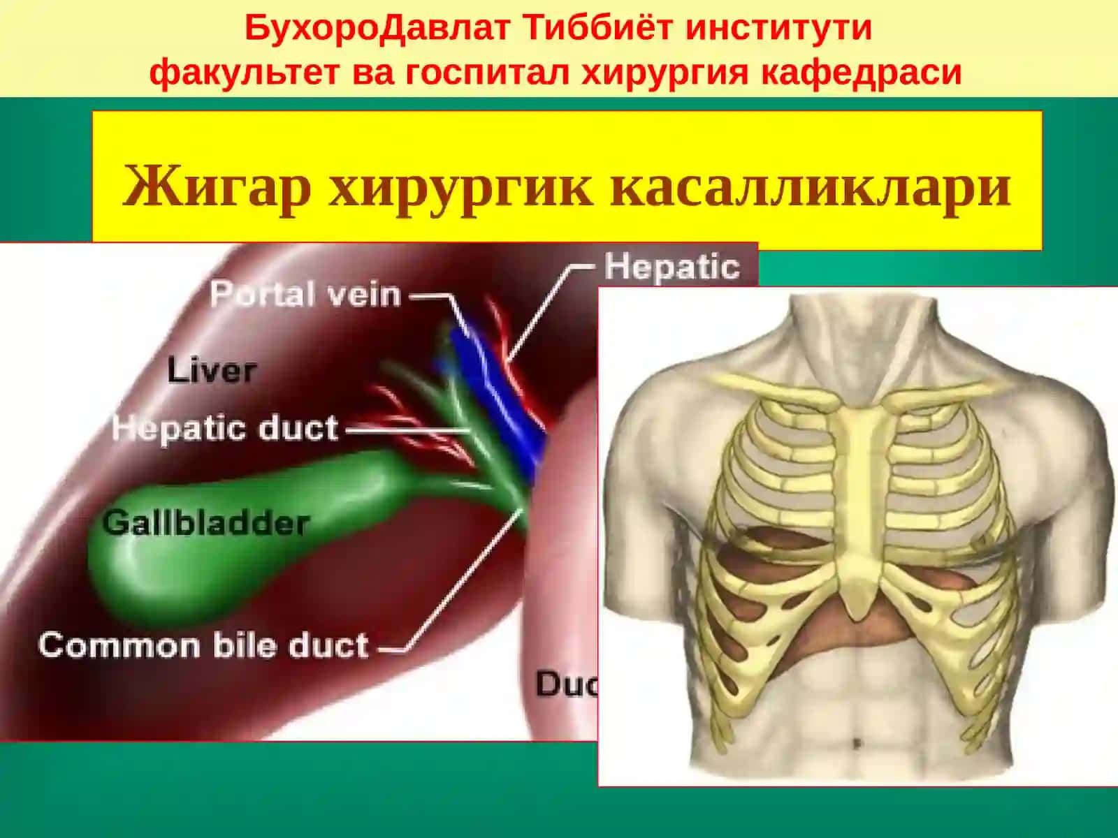 Жигар хирургик касалликлари 2