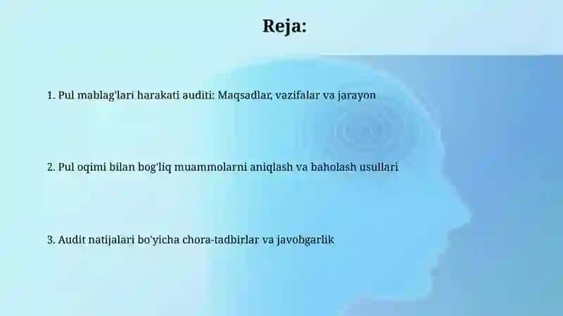 Pul Mablag'lari Harakati Auditi 2