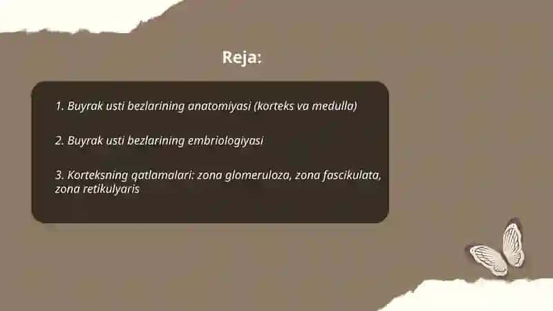 Buyrak usti bezlari 2