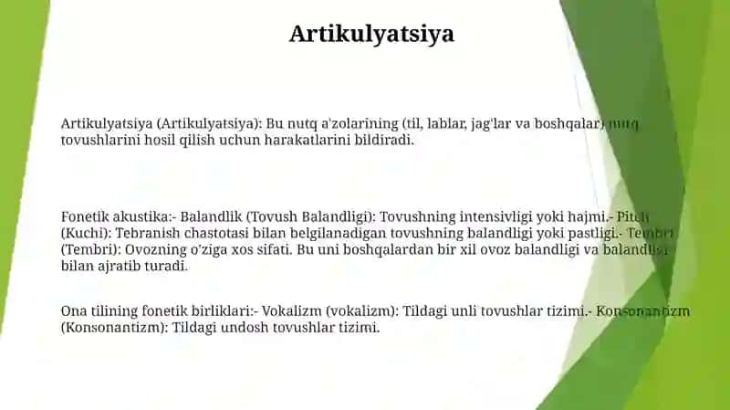 Artikulatsiya 2