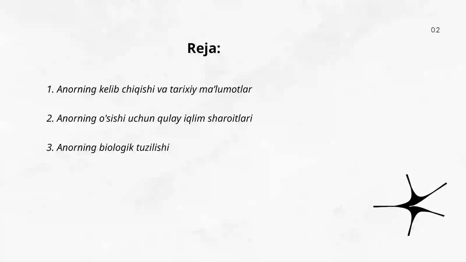 Anor haqida maʼlumot 2