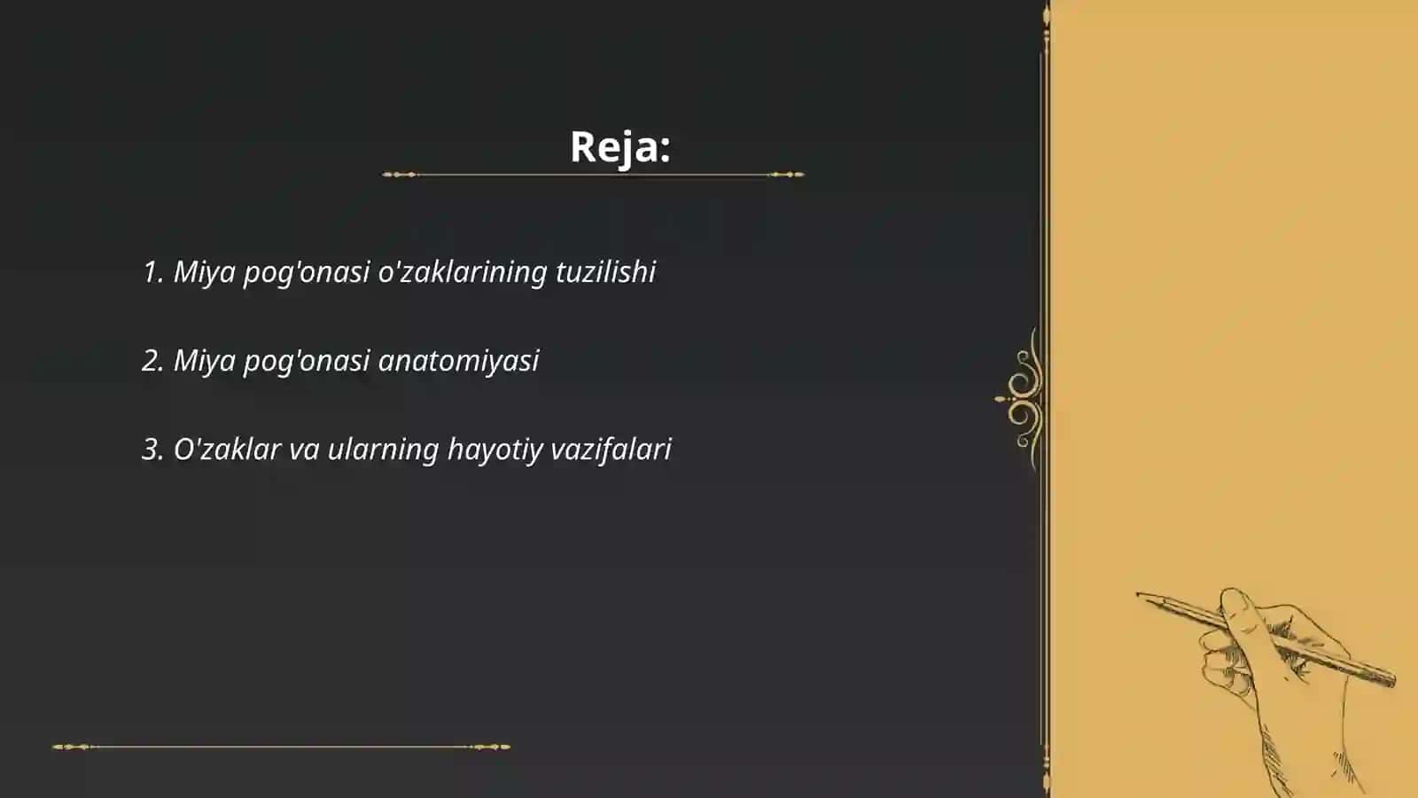 MIYA POG'ONASI O'ZAKLARI VA ULARNING AHAMIYATI 2